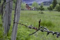 Close up of barbed wire fence