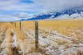 CLOSE UP: Barbed wire fence runs around a golden pasture under the snowy Rockies