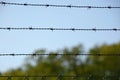 Close-up of barbed wire fence, security barbed wire Royalty Free Stock Photo