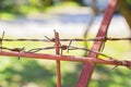 close-up of barbed wire fencing private territory from unauthorized persons painted red. Escape Royalty Free Stock Photo