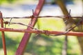 close-up of barbed wire fencing private territory from unauthorized persons painted red. Escape Royalty Free Stock Photo