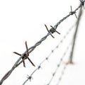 Close-up Barbed Wire Rusty Texture, Diagonal Composition, Isolation Concept, Barbed Wire Fence, Security Royalty Free Stock Photo