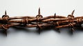 A close-up of barbed wire with sharp points against a white background Royalty Free Stock Photo