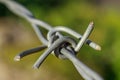 close-up of the barbs of a cattle delimiting wire. Royalty Free Stock Photo