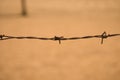 Close up of barbwire wire