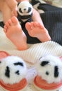 Close up bare foot in the morning at home, relaxing. Funny fluffy panda slippers. Comfort aesthetics style