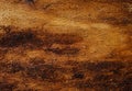 Close up bark of tree, textured surface in natural tones. Royalty Free Stock Photo