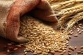 close-up of barley grains in a burlap sack