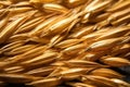 close-up of barley grains used in whisky production