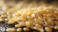 A close-up of barley kernels, ready for malting and brewing Royalty Free Stock Photo