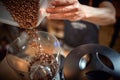 Close-up of barman hands holding a container and pouring coffee beans into a grinder apparatus. Coffee, beverage, producing Royalty Free Stock Photo