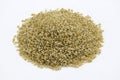 Close-up of barnyard millet grains Royalty Free Stock Photo