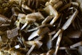 Close up of a Baryte mineral and crystal texture