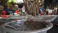 Close up of basin with alive lobsters in the open public market in Asia.