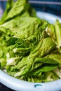 Close-up of a basket of freshly washed vegetables