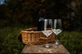 Close up of basket grape fruits, glass of red wine on green grass in garden. Summer weekend outdoor. Royalty Free Stock Photo