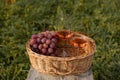 Close up of basket grape fruits, glass of rose wine on green grass in garden. Summer weekend outdoor. Royalty Free Stock Photo