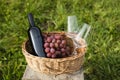 Close up of basket grape fruits, glass of rose wine on green grass in garden. Summer weekend outdoor. Royalty Free Stock Photo
