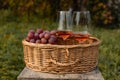 Close up of basket grape fruits, glass of rose wine on green grass in garden. Summer weekend outdoor. Royalty Free Stock Photo