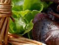 Close-up of basket with lettuce