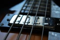 Close up of bass guitar strings and fret Royalty Free Stock Photo