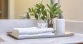 A Close-Up of a Bathroom Vanity Set with Face Towels, Hand Soap, and a Plant, on a Luxurious Marble Surface Royalty Free Stock Photo
