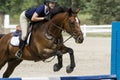 Close-up of a bay jumper on course