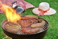 Close-Up Of BBQ Grill And Picnic Blanket In The Background Royalty Free Stock Photo