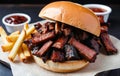 Pulled Brisket Sandwich with Fries Royalty Free Stock Photo