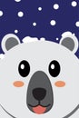 Close up of bear face with snow in blue background - Vector illustration Royalty Free Stock Photo