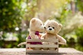 Close up bear kiss lovely brown two teddy bear in wooden box on