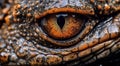 Close up of beast eyes young Crocodile. Generative AI Royalty Free Stock Photo