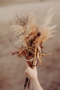 Close up beautiful autumn bouquet of dried flowers Royalty Free Stock Photo