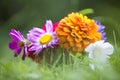 Close-up of beautiful autumn bright multicolored field flowers composition among green grass in transparent glass vase outdoors on Royalty Free Stock Photo