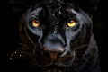 Close-up of beautiful black jaguar on blak background. Amazing Wildlife. Generative Ai