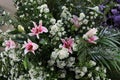 Close-up of beautiful blooming pink lilies, beautiful flower arrangements, selectable focus.