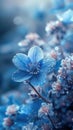 A close up of a beautiful blue flower with water droplets on it Royalty Free Stock Photo