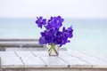 Beautiful bouquet of blue orchids flower on a white wooden table near sea. Thailand Royalty Free Stock Photo