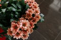 Close up of beautiful bouquet of flowers. Place for advertising