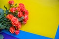 Close-up of a beautiful bouquet of orange roses. Isolated on bright colorful background. Yellow blue and purple colors Royalty Free Stock Photo