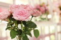 Close up of beautiful bouquet of pink roses in glass vase at the flower shop Royalty Free Stock Photo