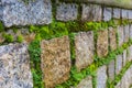 Close up. Beautiful brick wall with green moss Royalty Free Stock Photo