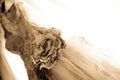 Close Up Beautiful Bridal Gown on a window balcony Royalty Free Stock Photo