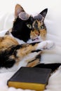 Close-up of beautiful brown tricolor adult smart cat in round glasses proudly lies on white soft plush blanket, looks around,