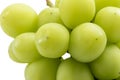 Beautiful a bunch of Shine Muscat green grape isolated on white background Royalty Free Stock Photo