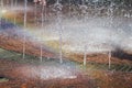 Close up of beautiful city fountain. Splashing upward crystal th Royalty Free Stock Photo