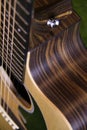 Close up of a beautiful and classic acoustic guitar
