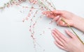 Beautiful  female hands with pink flowers. Hand care concept, anti-wrinkle, anti-aging cream, spa Royalty Free Stock Photo