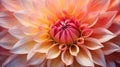 A close up of a beautiful flower with pink and orange petals, AI