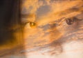 Close-up of a beautiful girl deep hazel eye at orange sunset double exposure, photoshop Royalty Free Stock Photo